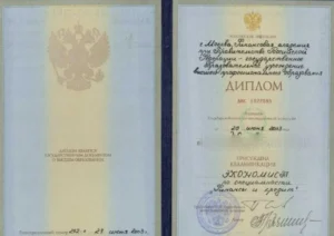 Диплом о высшем образовании — квалификация «Экономист», специальность «Финансы и кредит» (Финансовая академия при Правительстве РФ, 2003)