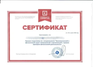 Сертификат — «Экономический и финансовый аудит предприятий и организаций с правом проверки финансовой деятельности» (Синергия, 2020)